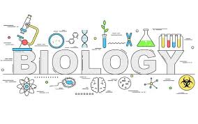 IPA (Biologi) X 2025-2026